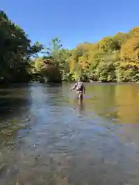 Standing in a river with a fishing rod during the autumn salmon run, surrounded by fall foliage